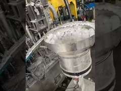 RTV Silicone sealant